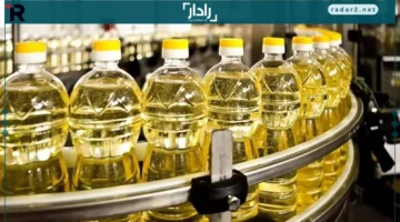 عبوات مميزة.. التموين يطلق فئات جديدة من زيوت الطهي بأسعار متنوعة بدءًا من ديسمبر 2025